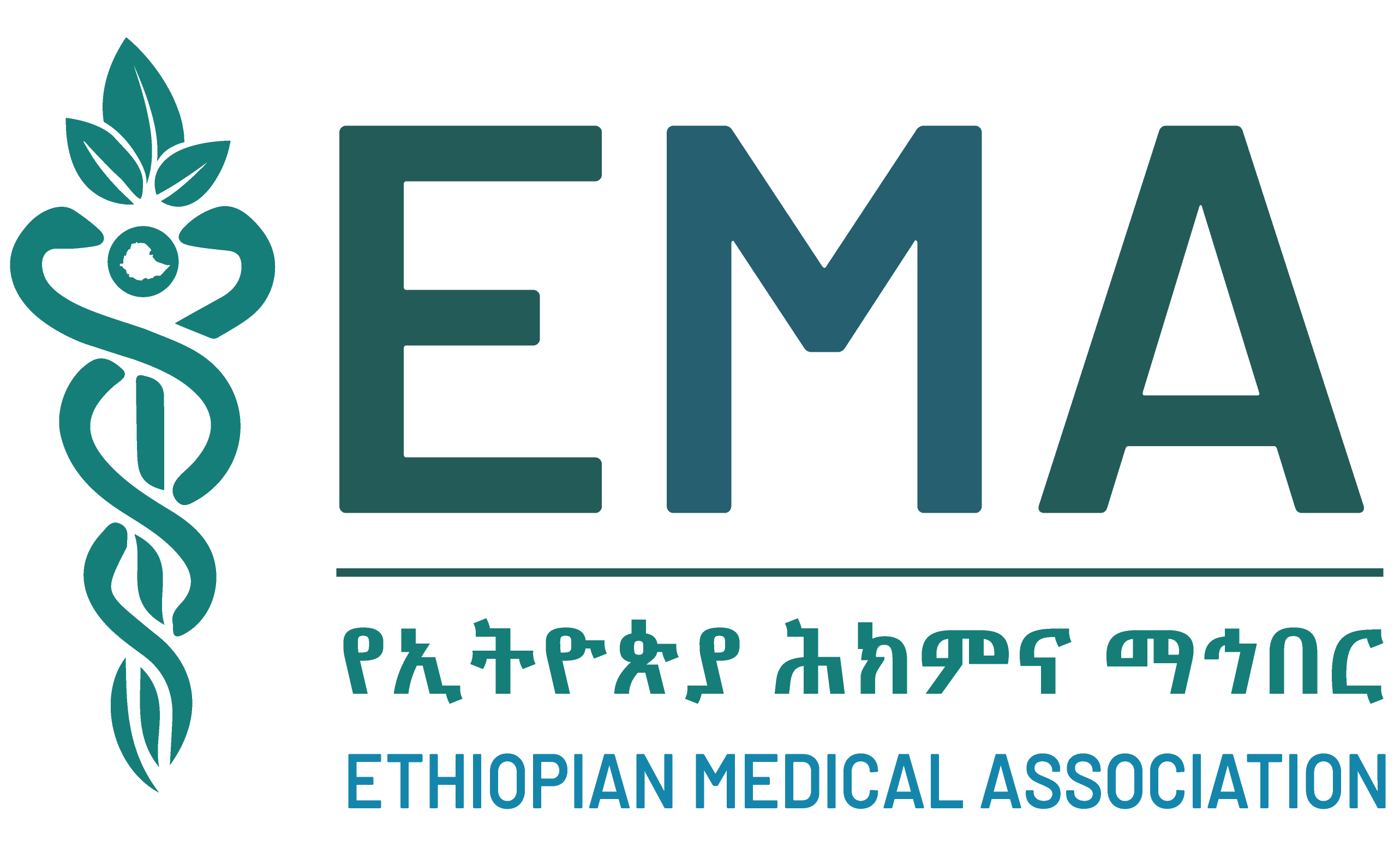 Ethiopian Medical Association